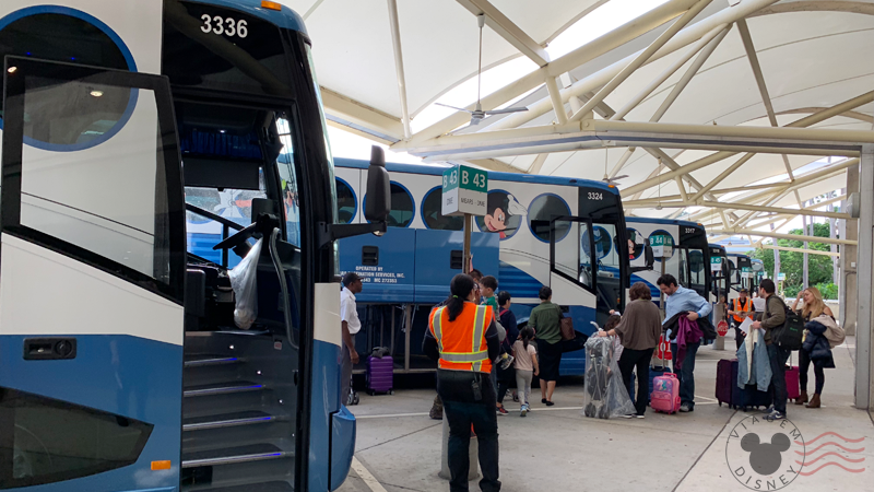 Como funciona o Disney’s Magical Express, o translado da Disney? | Viagem Disney